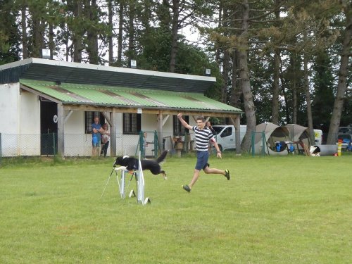 Concours d'agility, Daix, 17 juin 2018