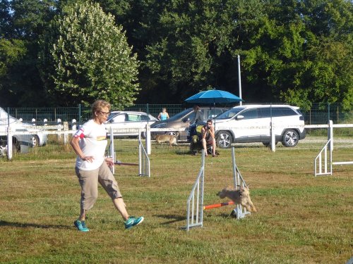 Concours d'agility, Montret, 29 juillet 2018