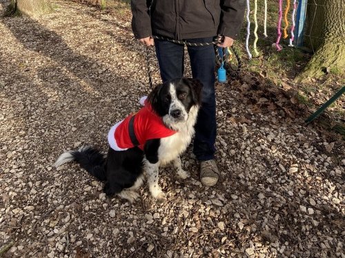 Education canine, 21 décembre 2019