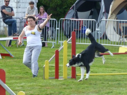 Concours d'agility, Autun, 14 septembre 2014