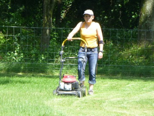 Journée travaux du 25 juin 2016