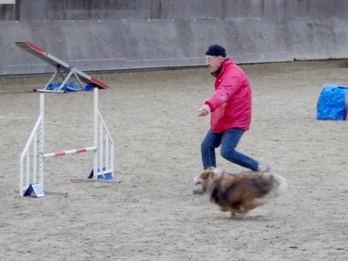 Concours d'agility, Dijon 8 décembre 2024