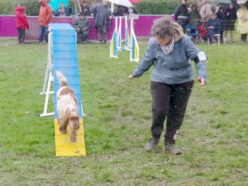 Concours d'agility, Barges, 31 mars 2024