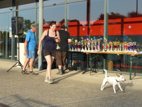 Concours d'agility de Fontaines, le 15 septembre 2019