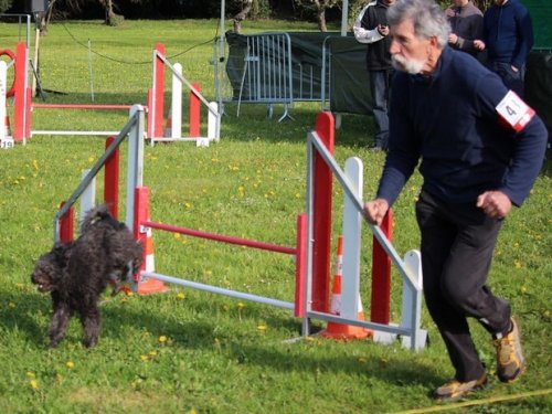 Premier concours d'agility de Fontaines, le 12 avril 2015