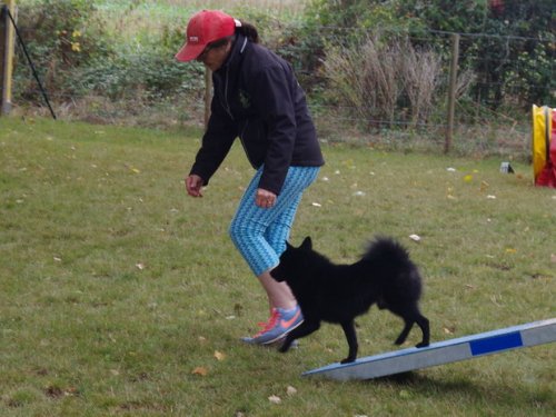 CAESC et Pass-agility Fontaines 17 septembre 2016