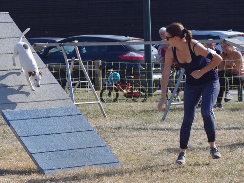 Concours d'agility de Fontaines, le 15 septembre 2019