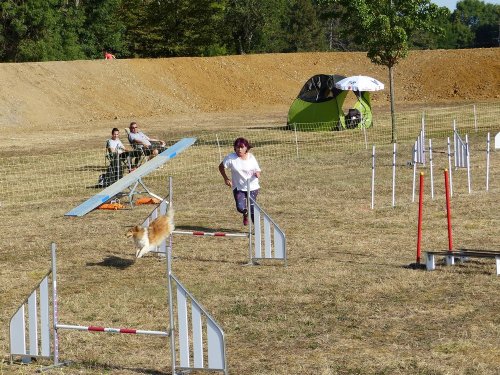 Concours d'agility de Fontaines, le 15 septembre 2019