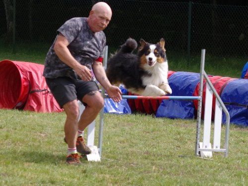 Concours d'agility, Daix, 17 juin 2018