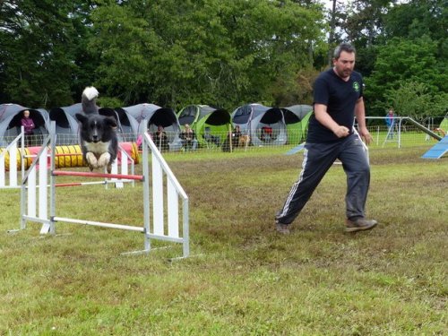 Concours d'agility de Fontaines, le 29 mai 2016