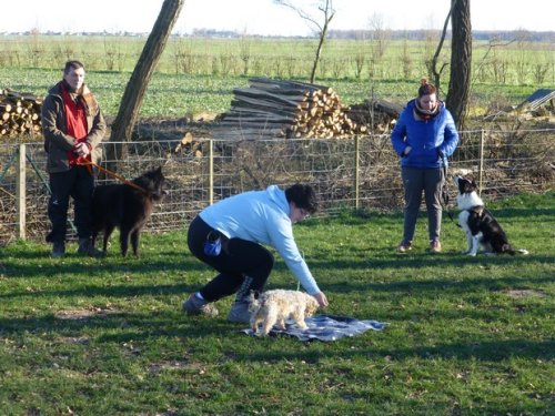 Formation MEC 1, Fontaines 2016