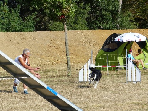 Concours d'agility de Fontaines, le 15 septembre 2019