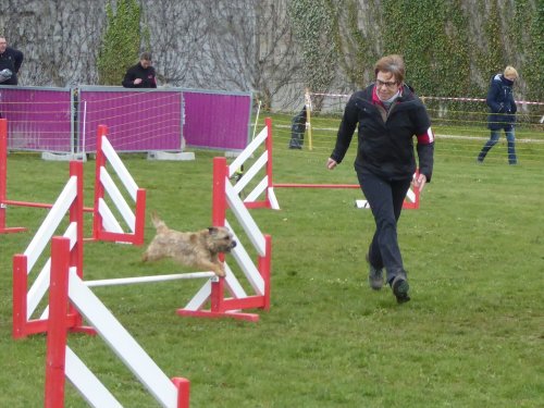 Concours d'agility, Barges, 1 avril 2018