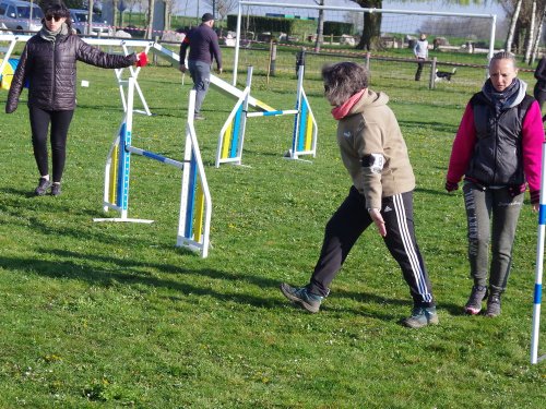 Concours d'agility, Barges, 9 avril 2023