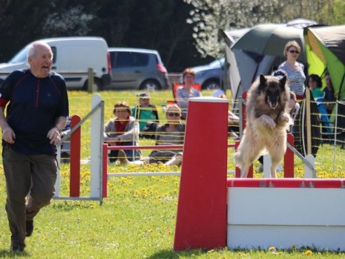 Premier concours d'agility de Fontaines, le 12 avril 2015