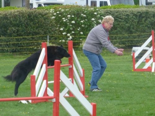 Concours d'agility, Barges, 16 avril 2017