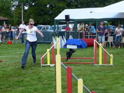 Concours d'agility, Autun, 14 septembre 2014