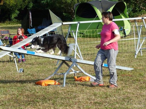 Concours d'agility de Fontaines, le 16 septembre 2018