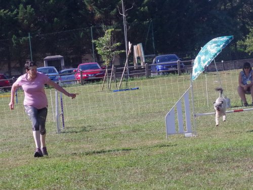 Concours d'agility, Fontaines, 9 et 10 septembre 2023