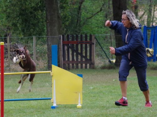 CAESC et Pass-agility Fontaines 17 septembre 2016