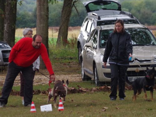 CAESC et Pass-agility Fontaines 17 septembre 2016