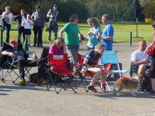 Premier concours d'agility de Fontaines, le 12 avril 2015