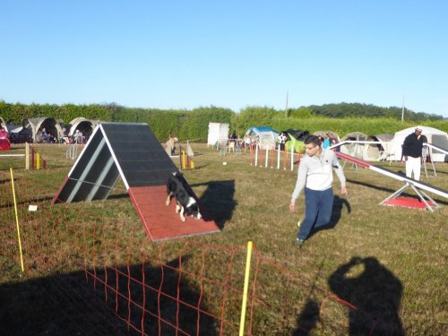 Concours d'agility, Autun, 9 septembre 2018