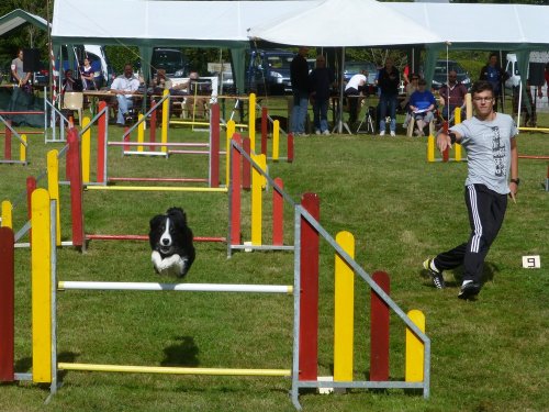 Concours d'agility, Autun, 10 septembre 2017