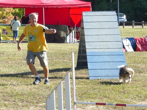 Concours d'agility, Fontaines 11 septembre 2022