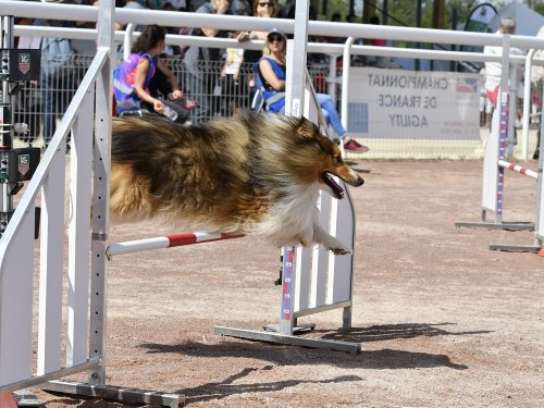 Loustic au championnat de France 2018