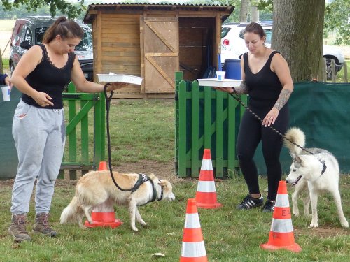 Jeux du 29 juillet 2023