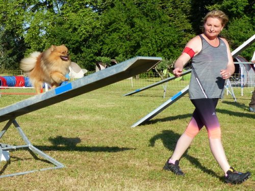 Concours d'agility de Fontaines, le 28 mai 2017