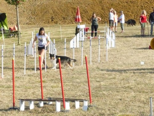 Concours d'agility de Fontaines, le 15 septembre 2019