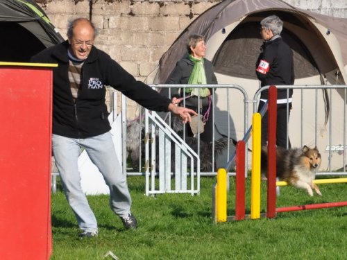 Concours d'agility, Autun, 27 septembre 2015