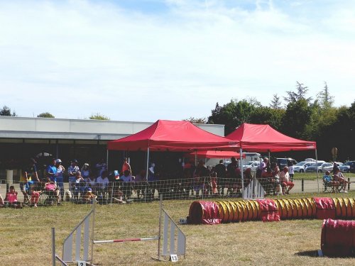 Concours d'agility de Fontaines, le 16 septembre 2018