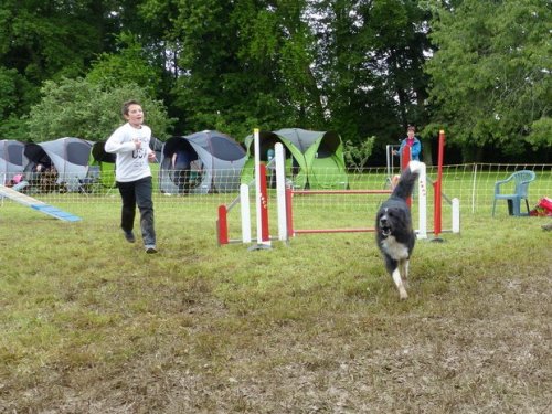 Concours d'agility de Fontaines, le 29 mai 2016