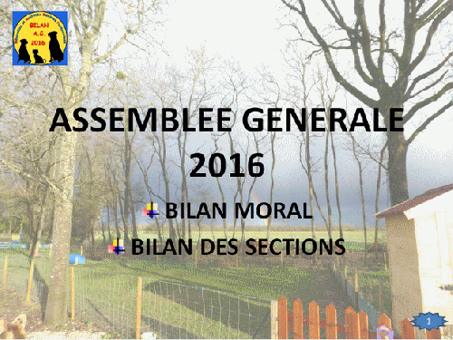 Bilan 2015 présenté lors de l'assemblée générale 2016