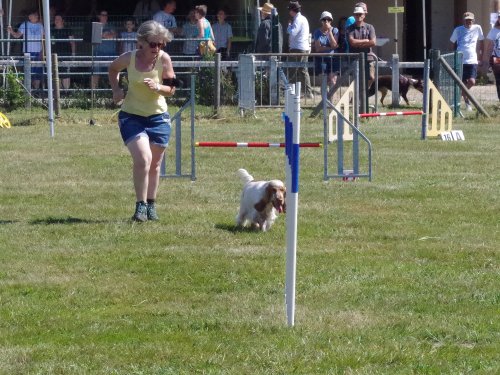 Concours d'agility, Barges, 9 avril 2023