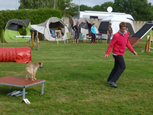 Concours d'agility, Autun, 10 septembre 2017