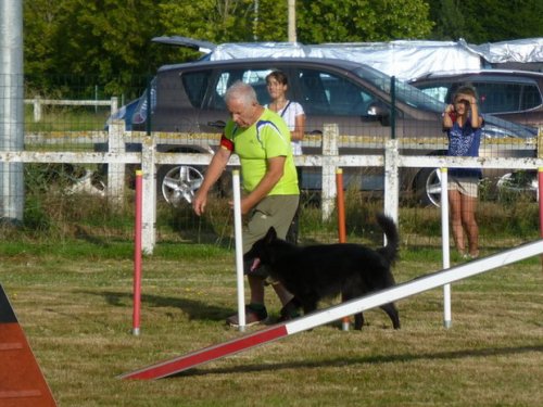 Concours d'agility, Montret, 30 juillet 2017