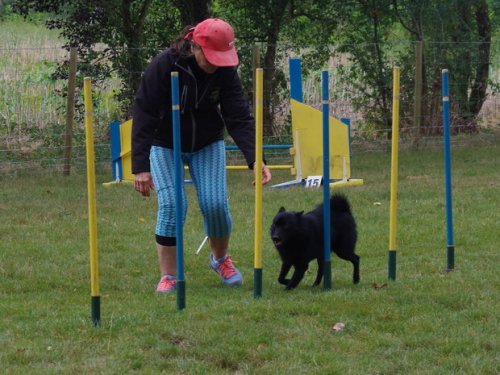 CAESC et Pass-agility Fontaines 17 septembre 2016