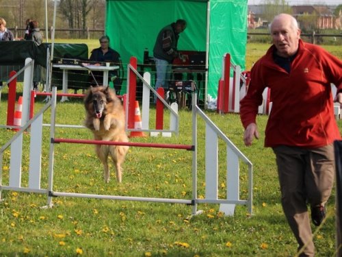 Premier concours d'agility de Fontaines, le 12 avril 2015