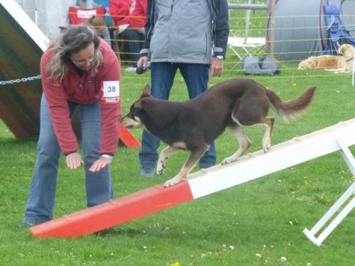 Concours d'agility, Barges, 16 avril 2017