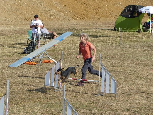 Concours d'agility de Fontaines, le 15 septembre 2019