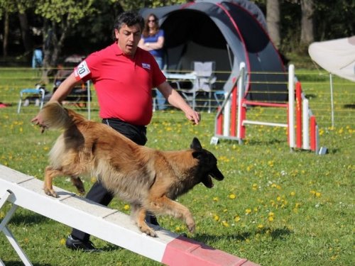 Premier concours d'agility de Fontaines, le 12 avril 2015