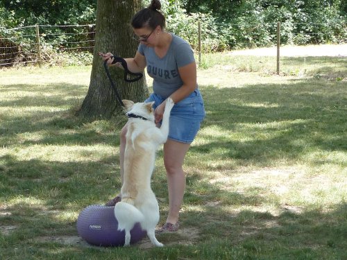 Fitness canin, 18 juin 2022