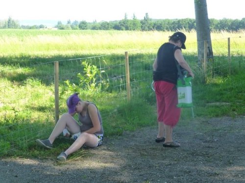 Journée travaux du 18 juin 2017