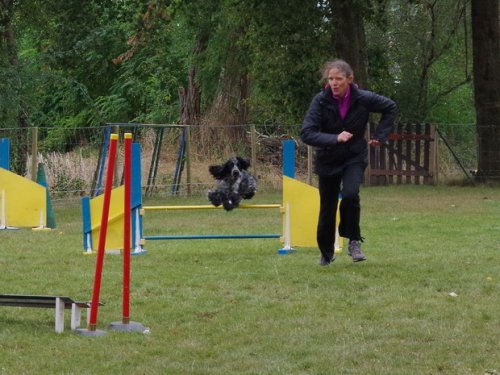 CAESC et Pass-agility Fontaines 17 septembre 2016