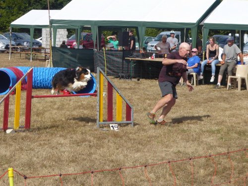 Concours d'agility, Autun, 9 septembre 2018