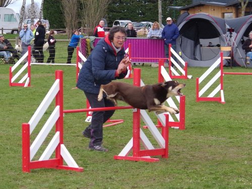 Concours d'agility, Barges, 1 avril 2018